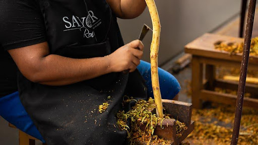 Highest Standards In Every Step